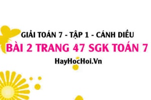 Giải bài 2 trang 47 Toán 7 Tập 1 SGK Cánh Diều: Giá trị tuyệt đối